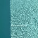 디어웨이브 | 강릉 풀빌라 디어웨이브 후기 | 오션뷰 수영장 숙소, 아이랑 다녀온 가족여행