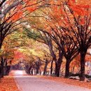 소요산관광지원센터 이미지