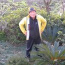 올레 두번째이야기 이미지