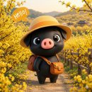 창락제1농로 | 구례ㅣ2026 산수유꽃축제, 오산탐방단과 함께한 새콤노란 힐링기