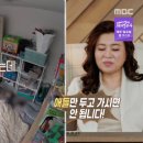 두고집 이미지