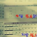 오오다이어트 이미지