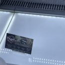 맘스터치 팔용점 이미지