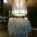 대구인터불고호텔 뷔폐 :: 더 뷔폐트(The Buffet)다녀온 후기 :: 평일런치