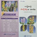 신안군민체육관 체육관 | [자은도여행] 신안군 여름새우란(蘭) 전시회 끝자락 관람기(1004 뮤지엄파크 새우란전시관에서 열린...