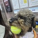 11500-12-29-104 | 서른즈음에 인생사 새옹지마 몸소 체험한 12월 일기🎄