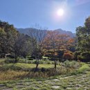 내장산조각공원 이미지