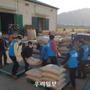 청년미곡