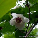 세명사 이미지