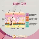 대곡한의원 이미지