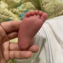 [광주 미즈피아 조리원] 조리원 천국은 남일, 엄청 바빴던 나의 조리원 생활 (일반실, 식단, 경혈마사지...