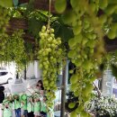 중흥2동행정복지센터 이미지