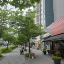 제일고무신상회&제일조경 | [마곡 핫플 빵집] 오전 10시면 품절? 일요일 아침 '까치상회'빵으로 홈브런치 하기