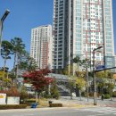 동탄역튼튼척의원 이미지