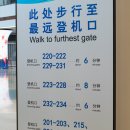 세븐일레븐 산동점 | 산동항공 중국 여행 연태 - 베이징 환승 노선 탑승 후기(연태 공항 노숙 장소 추천)
