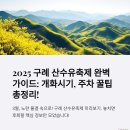 구례후니모텔&게스트하우스 | 구례 산수유축제 일정 완전정리, 개화시기와 주차 팁까지🙏🙏