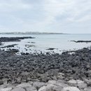 국수네 | 제주 서귀포 성산읍 맛집, 탐나는 김밥 국수 존맛 후기