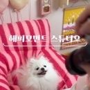 해피모먼트스튜디오 이미지