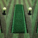 진 스크린골프 이미지