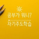 엑스퍼트컨설팅