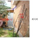 청조원2 이미지