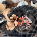 히노키잠(1호점) | 내돈내산 / 경기도 포천 글램핑 [ 메이플글램핑 캠핑장 1호점 ] 소곱창 구워 먹고 싶어서 간 캠핑