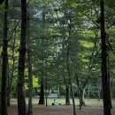 고대1096 | 2025 여름 돼