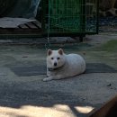 부처핸섭 남양주 수진사 템플스테이 휴식형 동생이랑 뚜벅이로 다녀왔어요