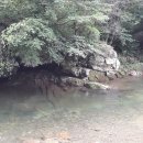 아모르펜션 Daum카페