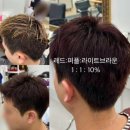 엘로이헤어 이미지