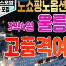 섬바디여행사