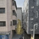 찢어진 방충망교체 시공 후기 &#34;퍼펙트방충망 서초점&#34; 발수코팅 미세촘촘방충망 양재동 빌라 교체 시공 후기