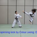 돌려차기태권도 이미지