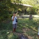 선교농장 이미지