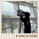 철새보는집 | 서산 버드랜드 아이와 가볼만한곳 추천 아기랑 철새 박물관 여행