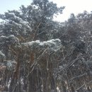 솔향민박 이미지