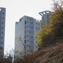 새갈천 네이버블로그