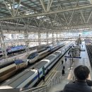 카멜리아 | 후쿠오카 배타고 가기 / 뉴카멜리아호 다인실 후기 / 후쿠오카 배타고 당일치기