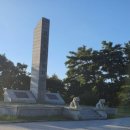 대관령엘도라도 이미지