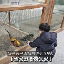 능동농장 | [대구 팔공산] 아기랑 갈만한 곳 - 먹이주기 체험 '팔공산 하하농장'