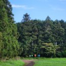 다솜주유소 | [제주 여행] 1일차: 빌리카, 비밀의 숲, 제주 중문 솥뚜껑