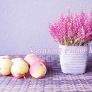 무료피아노연주곡듣기|자장가|태교음악|카페음악 이미지