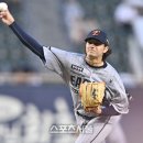 화이트 스포츠서울