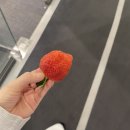 동표농장 이미지