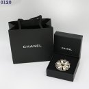 데이지플라워 이미지