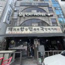 돼지로한판민족의국민먹거리(돼한민국) 이미지