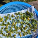 운심농장 이미지