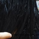준헤어필 - 마포구 | 준헤어필