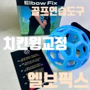 바디픽스 | 골프연습도구 치킨윙교정 엘보픽스 사용후기