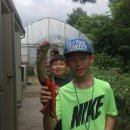 씨엔씨미술학원 | 우리들자연학교 8월 16일 씨엔씨 미술학원 수업후기